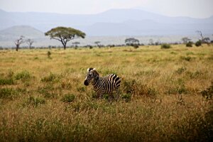 IMG_20250114-00-IMG_8362