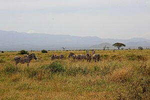 IMG_20250114-00-IMG_8367