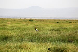 IMG_20250114-00-IMG_8406