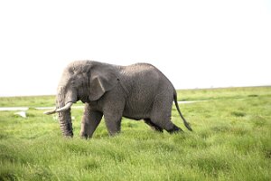 IMG_20250114-00-IMG_8454