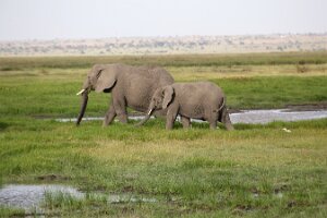 IMG_20250114-00-IMG_8473