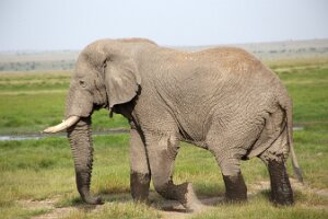 IMG_20250114-00-IMG_8481