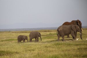 IMG_20250114-00-IMG_8530