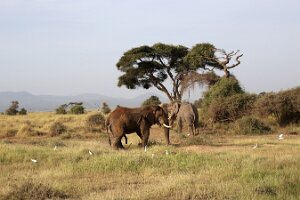 IMG_20250115-00-IMG_8718