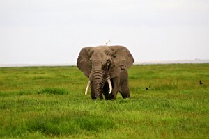 IMG_20250115-00-IMG_8745