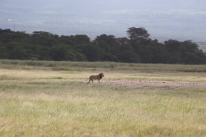 IMG_20250115-00-IMG_8754