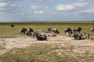 IMG_20250115-00-IMG_8807