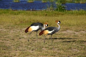 IMG_20250115-00-IMG_8829