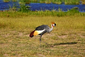 IMG_20250115-00-IMG_8831