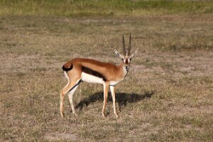 IMG_20250115-00-IMG_8837