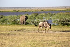 IMG_20250115-00-IMG_8846