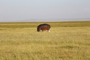 IMG_20250116-00-IMG_8941