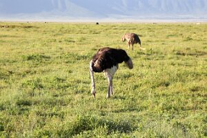 IMG_20250117-00-IMG_8989