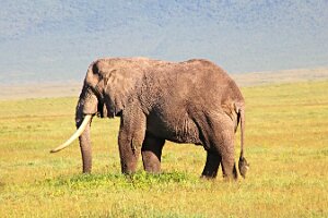 IMG_20250117-00-IMG_9004