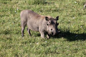 IMG_20250117-00-IMG_9082