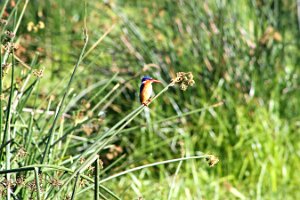 IMG_20250117-00-IMG_9154