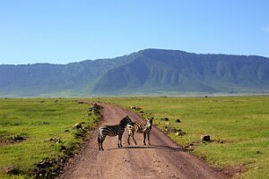 IMG_20250117-00-IMG_9190