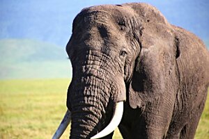 IMG_20250117-00-IMG_9220