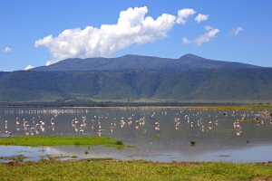 IMG_20250117-00-IMG_9370