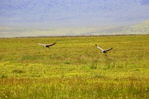 IMG_20250117-00-IMG_9394