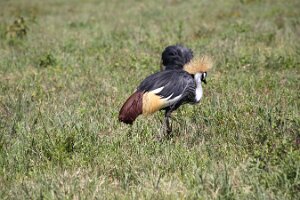 IMG_20250117-00-IMG_9408