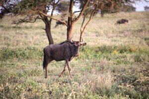 IMG_20250118-01-IMG_0148