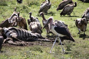 IMG_20250118-01-IMG_9660