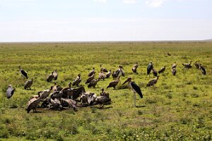 IMG_20250118-01-IMG_9663