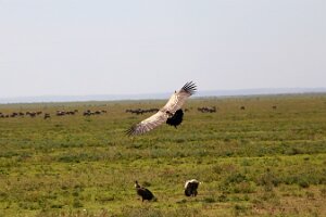 IMG_20250118-01-IMG_9702