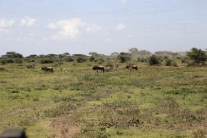 IMG_20250118-01-IMG_9734