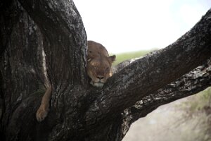 IMG_20250118-01-IMG_9756