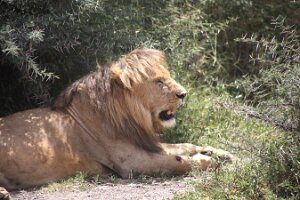 IMG_20250118-01-IMG_9787