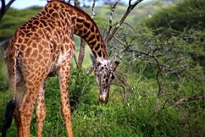 IMG_20250118-01-IMG_9827