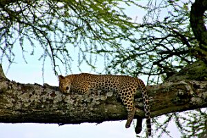 IMG_20250118-01-IMG_9904