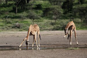 IMG_20250118-01-IMG_9921