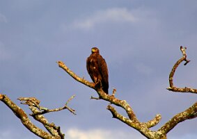 IMG_20250118-01-IMG_9990