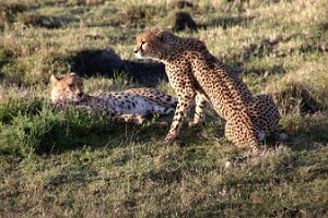 IMG_20250119-01-IMG_0223