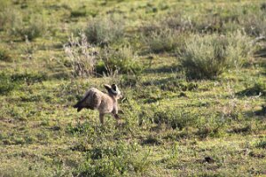 IMG_20250119-01-IMG_0269