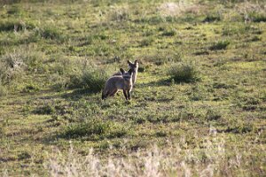 IMG_20250119-01-IMG_0272