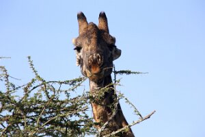 IMG_20250119-01-IMG_0321