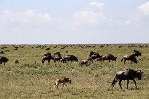 IMG_20250119-01-IMG_0374