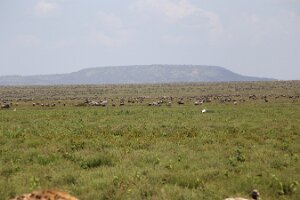 IMG_20250119-01-IMG_0462