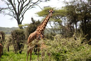 IMG_20250119-01-IMG_0560