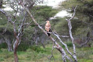 IMG_20250119-01-IMG_0634