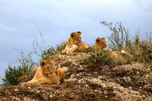 IMG_20250119-01-IMG_0702