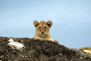 IMG_20250119-01-IMG_0703