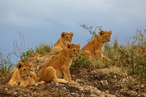 IMG_20250119-01-IMG_0726