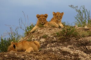 IMG_20250119-01-IMG_0733