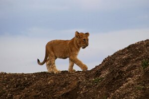 IMG_20250119-01-IMG_0785