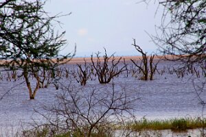 IMG_20250120-01-IMG_0878